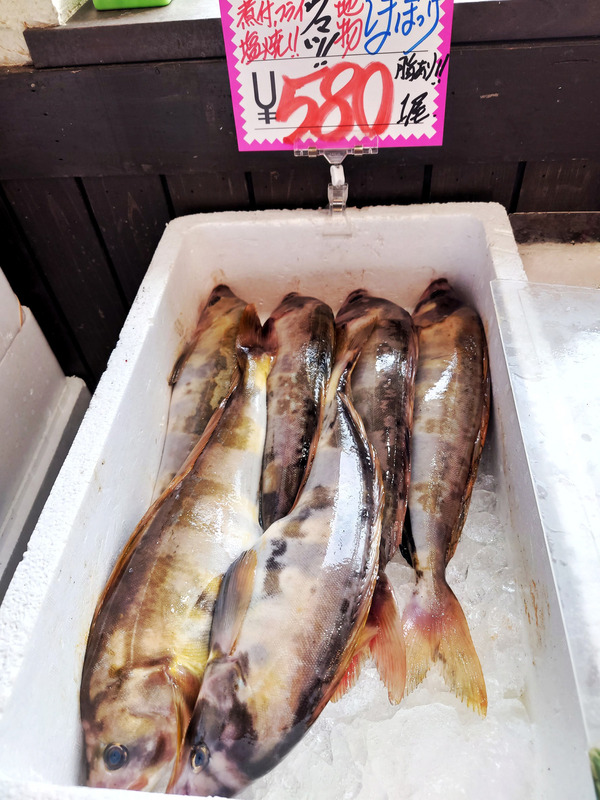 20210522shimahokke001
