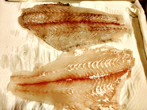 20200622sashimi007