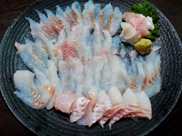 20220406sashimi013