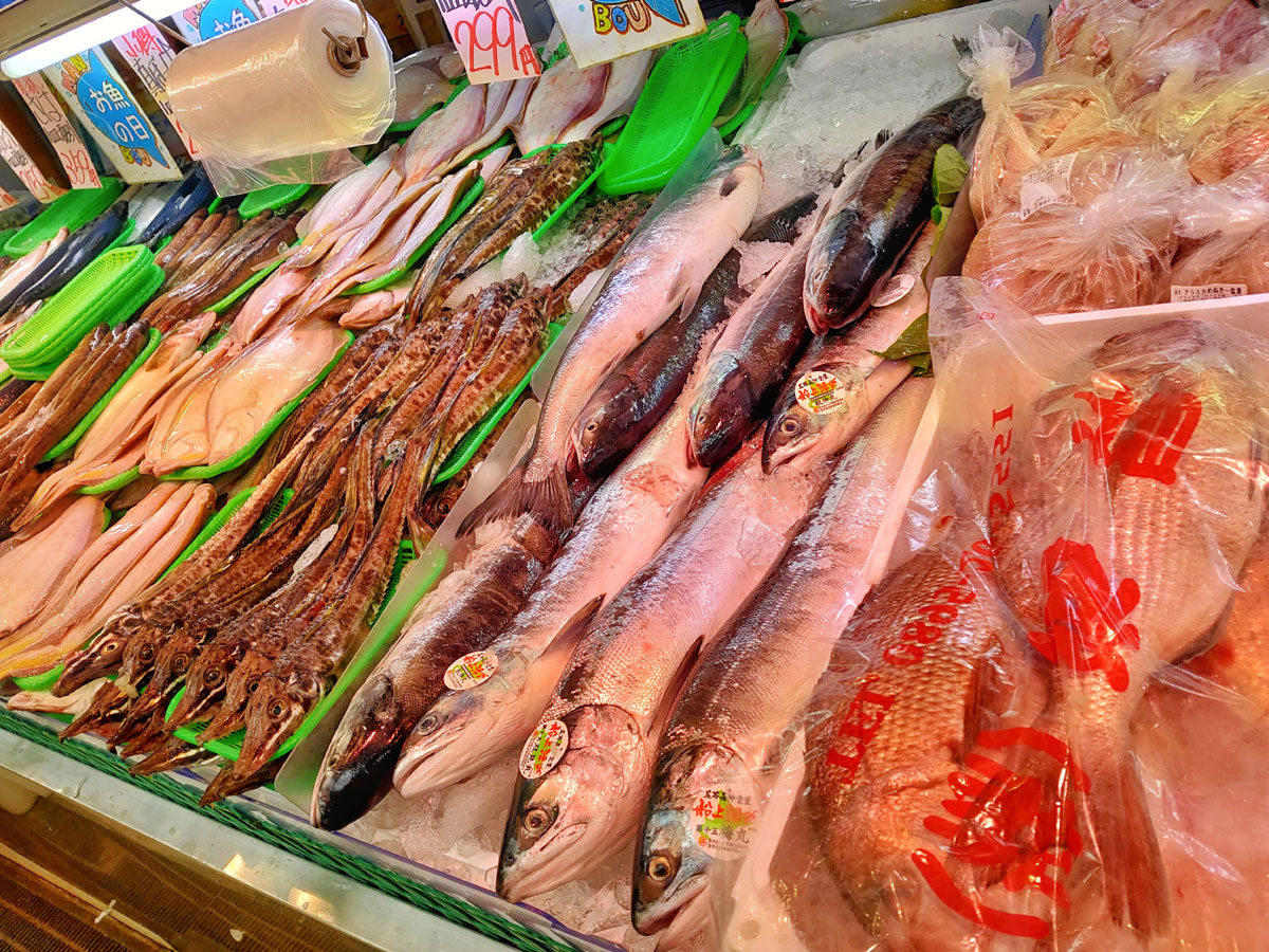 マンボウ 青木葉 Eatful Life