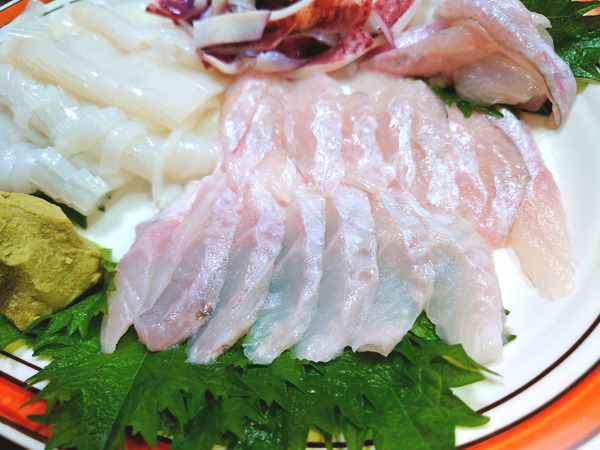 20220413sashimi008