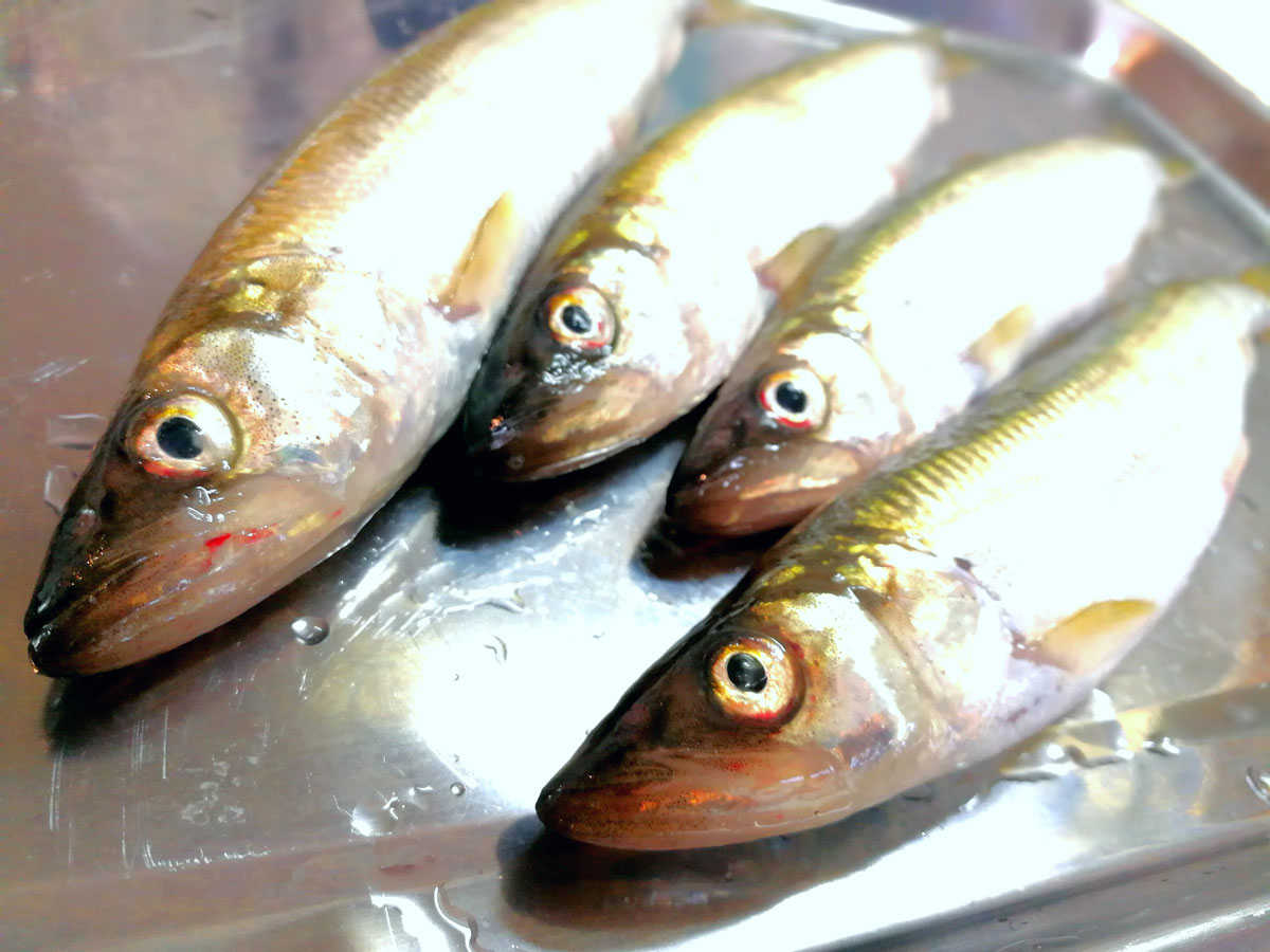 おうちご飯 キュウリウオのフライ 里芋と鶏背肉の煮物 青木葉 Eatful Life