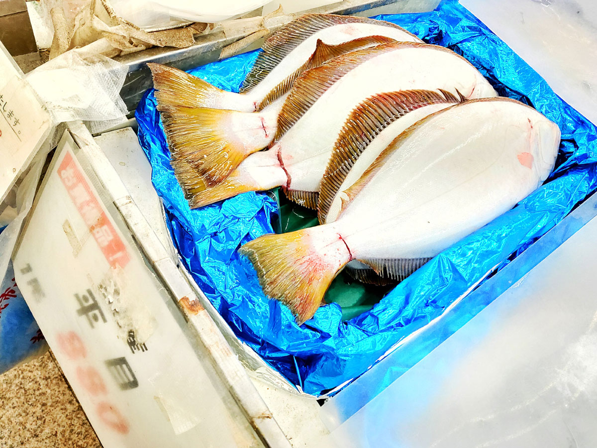 おうちご飯 ヒラメの刺身 アラ汁 タラの芽とカボチャの天ぷら 青木葉 Eatful Life