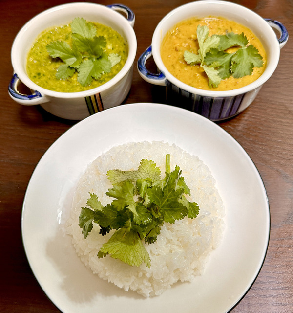 20230312saagcurry006