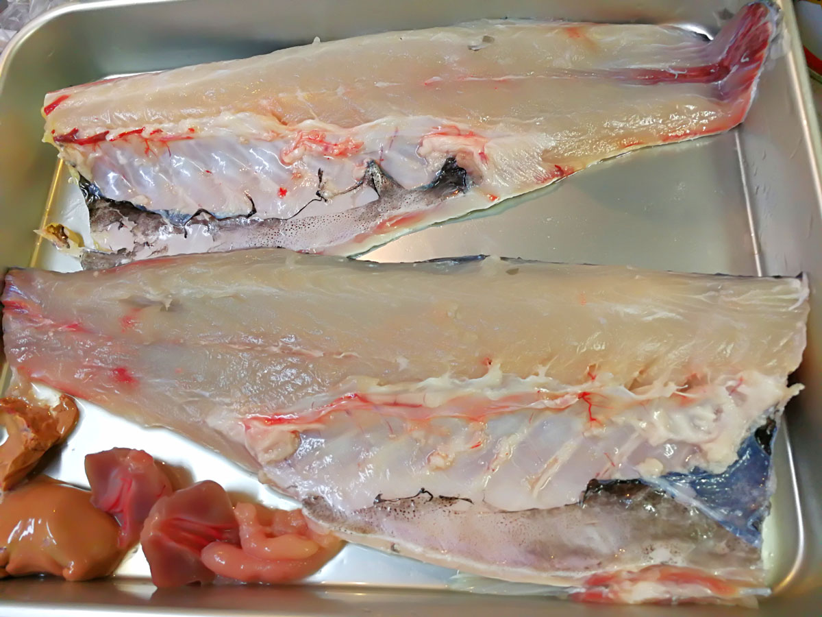 おうちご飯 天塩産海ボラの刺身 皮の生姜ポン酢 アラ煮 青木葉 Eatful Life おうちご飯 天塩産海ボラの刺身 皮の生姜ポン酢 アラ煮 青木葉 Eatful Life