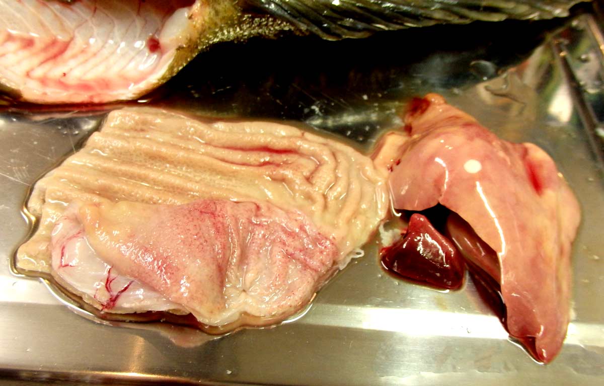 おうちご飯 油子 アイナメ の煮付け 青木葉 Eatful Life