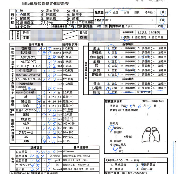 kenkoushinsa201306