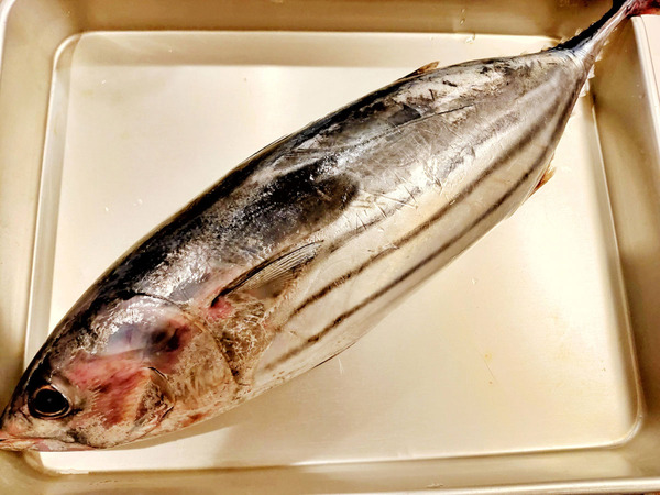 20200727katsuo004