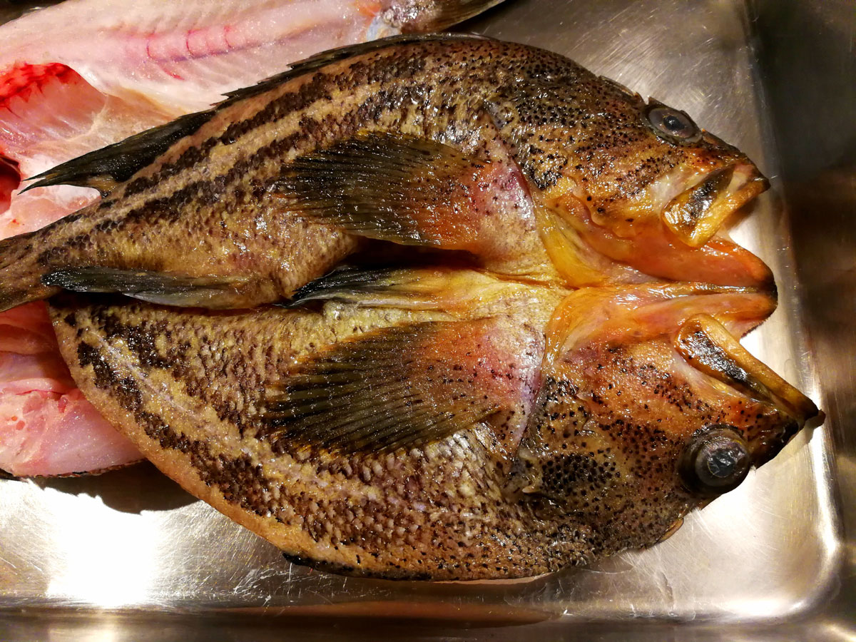 おうちご飯 自家製 縞ソイの開き 鶏根菜の煮物 青木葉 Eatful Life