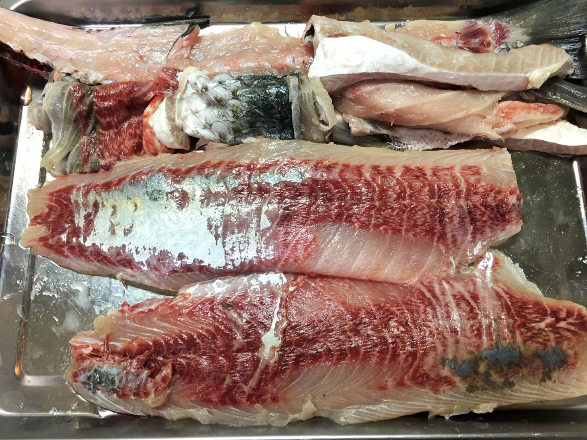 おうちご飯 ボラの刺身 ボラフルコース トラウマ克服 青木葉 Eatful Life