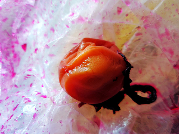 20220706umeboshi002