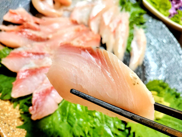 20200604sashimi019