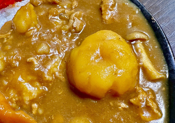 20230930porkcurry006