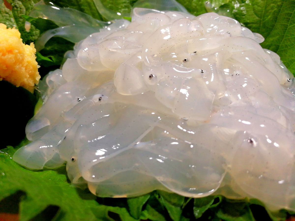 おうちご飯 のれそれ 愛媛産 青木葉 Eatful Life