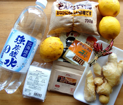 20150426gingerale02