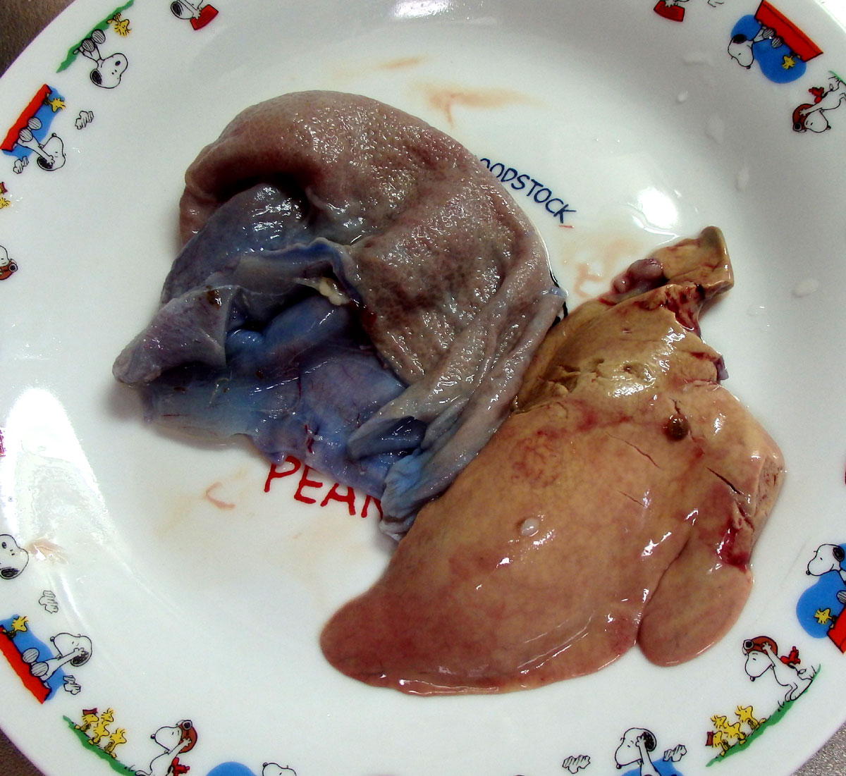 おうちご飯 アイナメ 油子 の煮付け15夏 青木葉 Eatful Life おうちご飯 アイナメ 油子 の煮付け15夏 青木葉 Eatful Life