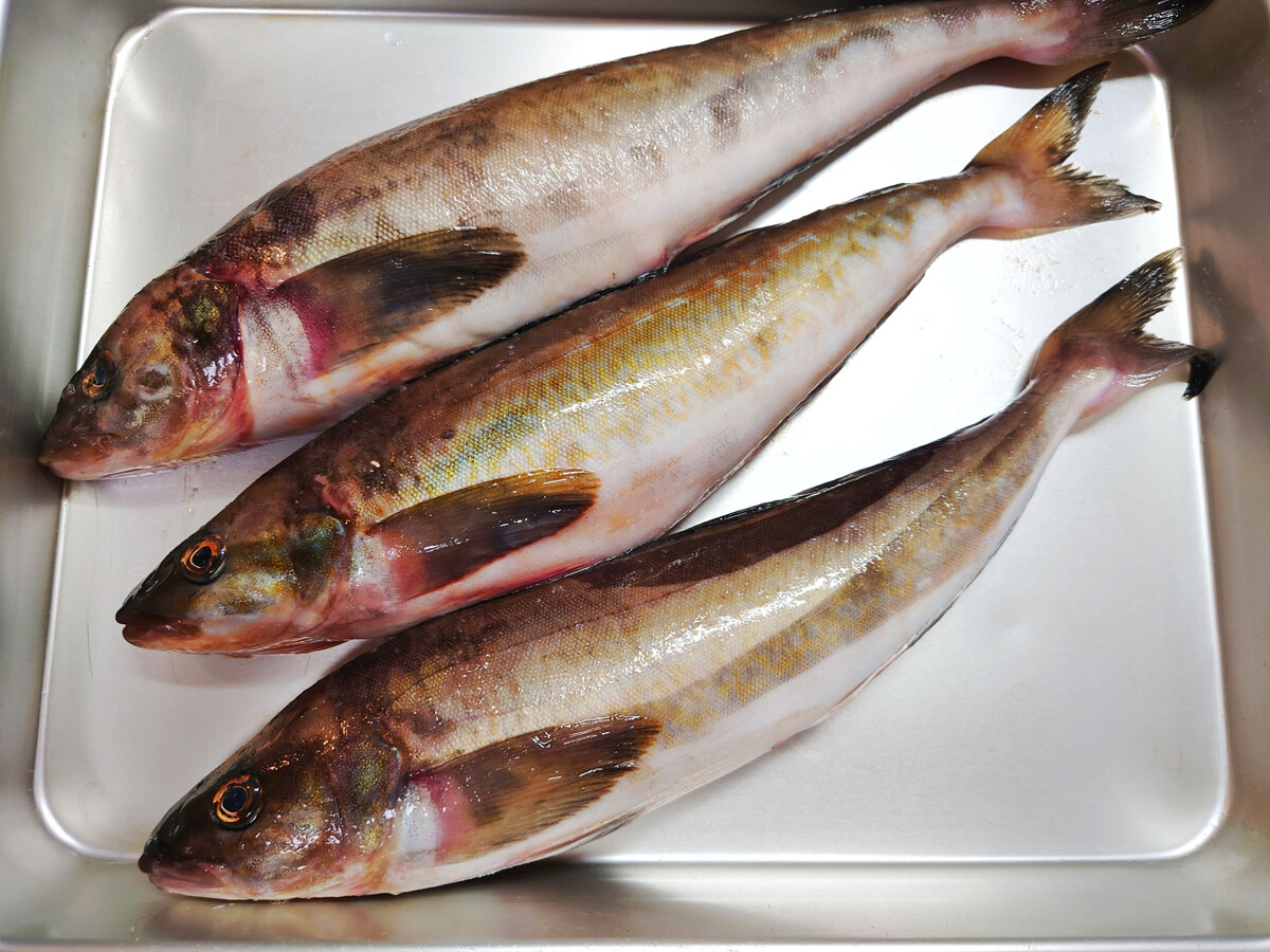 魚料理 青木葉 Eatful Life 魚料理 青木葉 Eatful Life