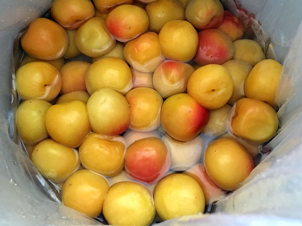 20160628umeboshi