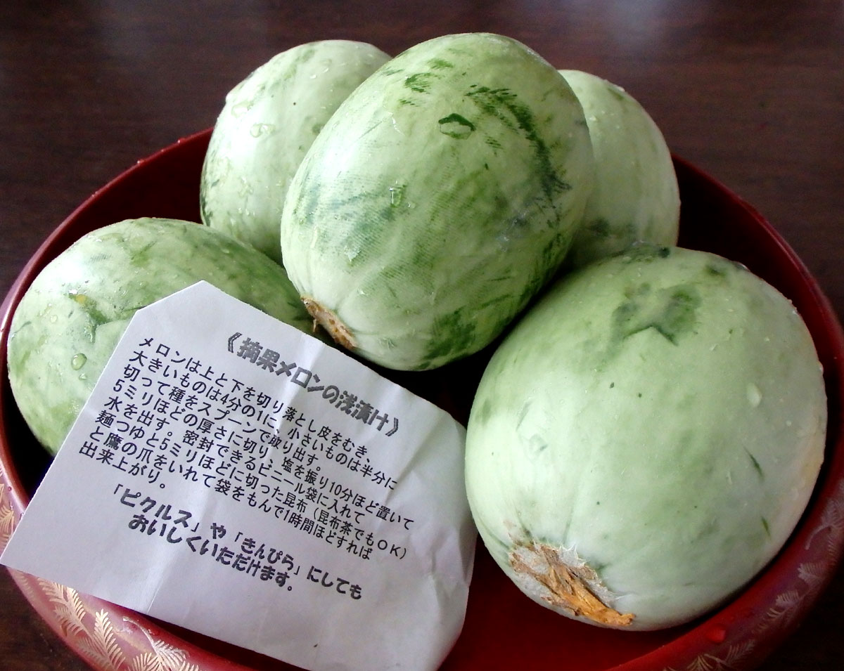 おうちご飯 摘果メロンのニンニク浅漬け メロンチャンプル 青木葉 Eatful Life