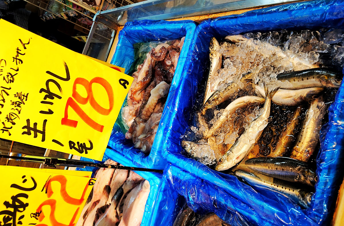 おうちご飯 イワシのカツレツ ベーコン十勝マッシュズッキーニのトマトソース カサレッチャ マカロニ 青木葉 Eatful Life