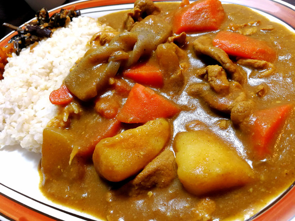 20190130kasujirucurry009