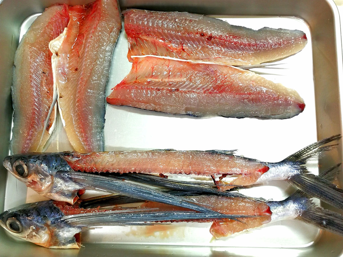 おうちご飯 トビウオの刺身 茄子の煮びたし 青木葉 Eatful Life おうちご飯 トビウオの刺身 茄子の煮びたし 青木葉 Eatful Life