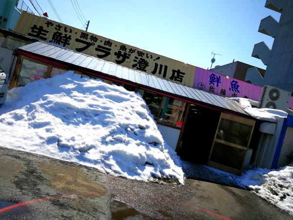 20170331fukuragi01