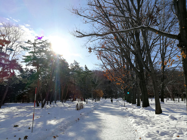 20181229jingu005