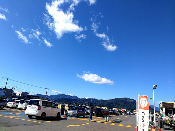 20190924butaimocurry001