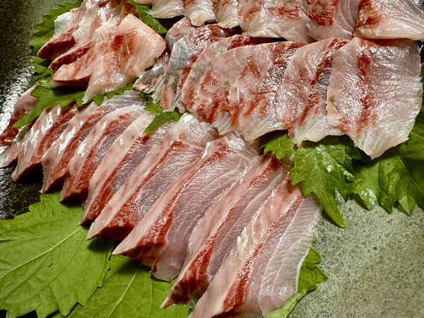 20231011sashimi004