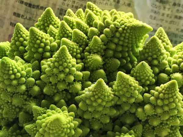 20160727romanesco02