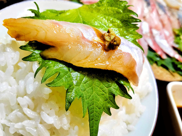 20200604sashimi018