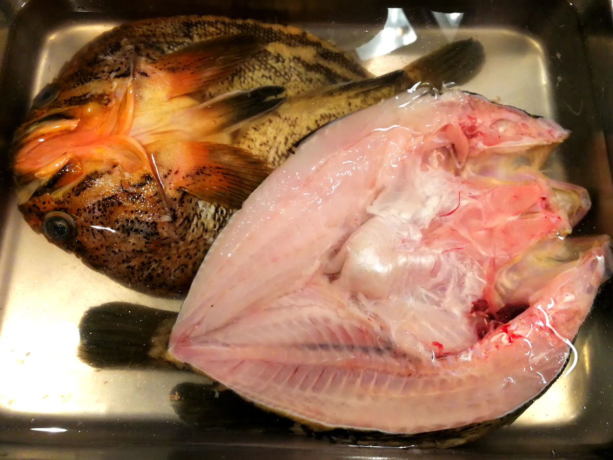 おうちご飯 自家製 縞ソイの開き 鶏根菜の煮物 青木葉 Eatful Life