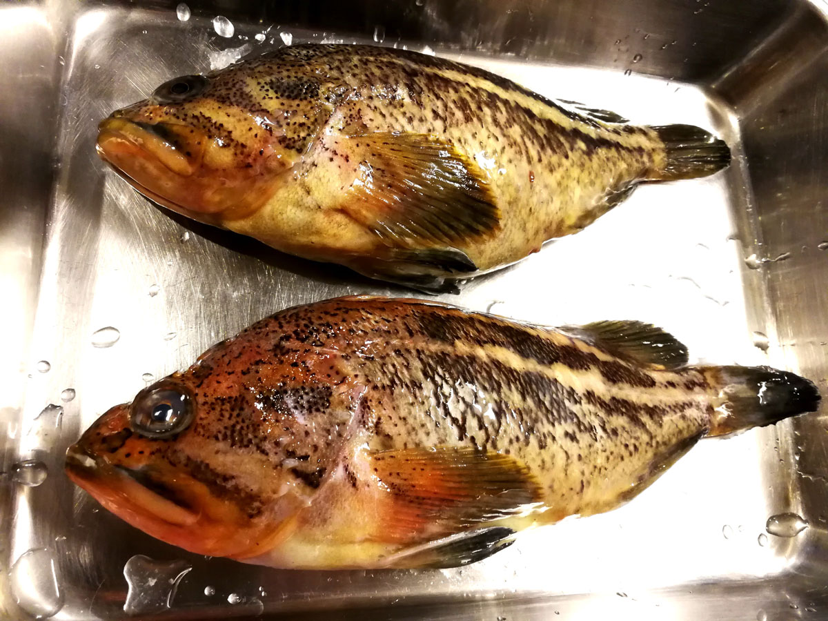 おうちご飯 自家製 縞ソイの開き 鶏根菜の煮物 青木葉 Eatful Life おうちご飯 自家製 縞ソイの開き 鶏根菜の煮物 青木葉 Eatful Life