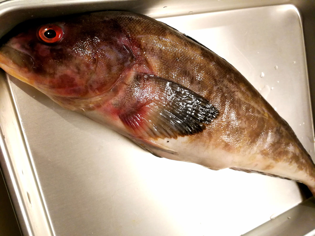 おうちご飯 ホッケの塩焼き 生開き 青木葉 Eatful Life