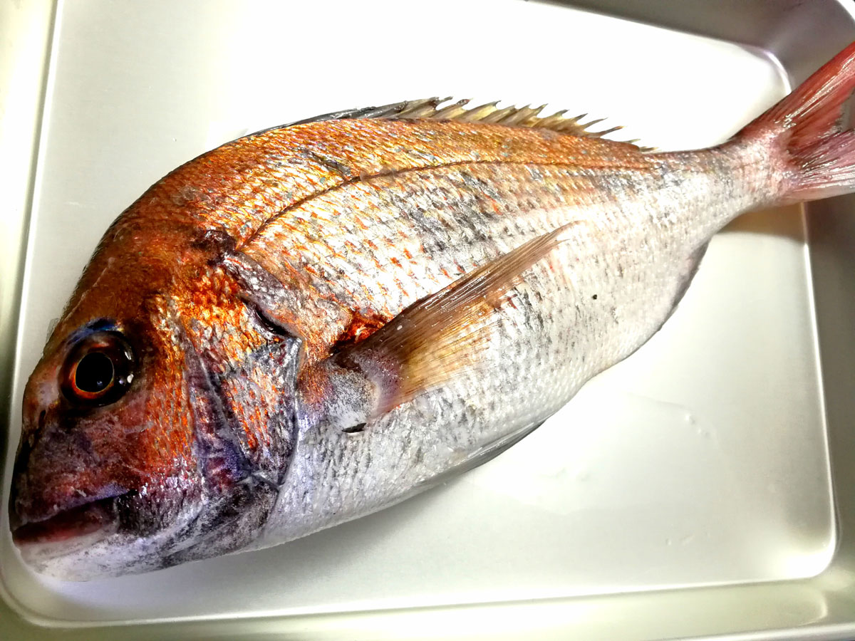 おうちご飯 天然真鯛の刺身 アラ汁 白子皮ポン酢 青木葉 Eatful Life