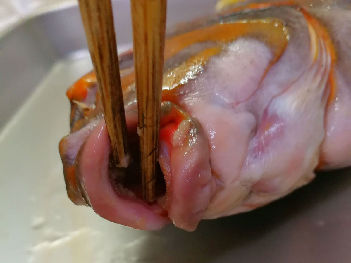 おうちご飯 タカノハダイの刺身 アラ煮 青木葉 Eatful Life