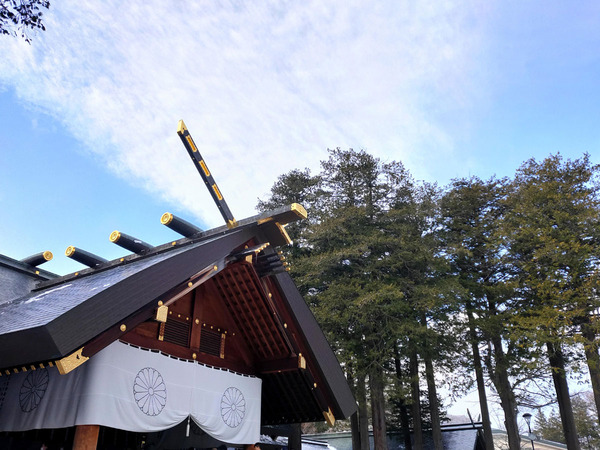 20191230kareitatsuta004