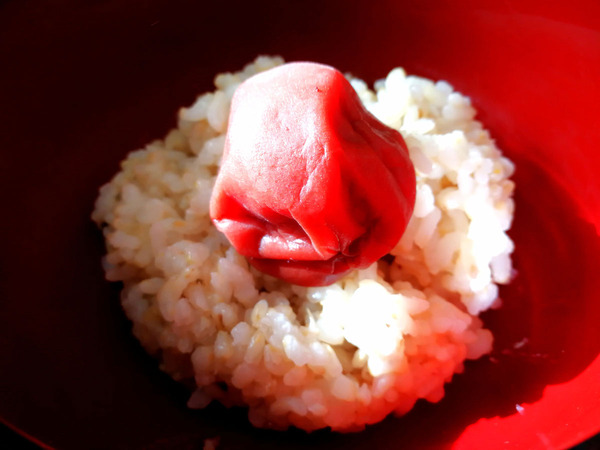 20170308umeboshi02