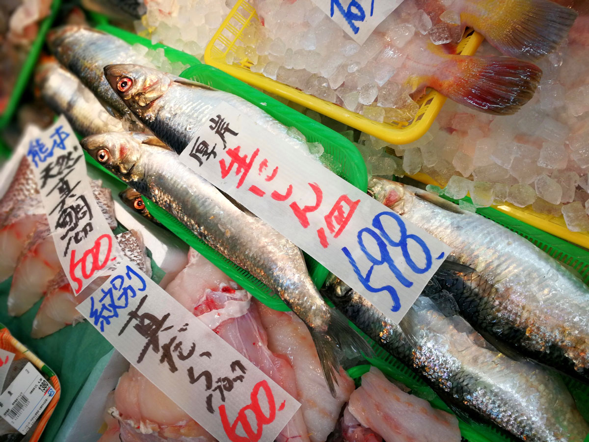 おうちご飯 ニシンの刺身 ヤリイカの刺身 青木葉 Eatful Life