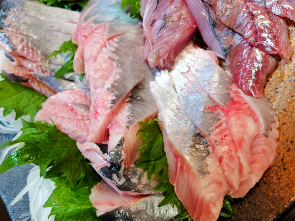 20210628sashimi007