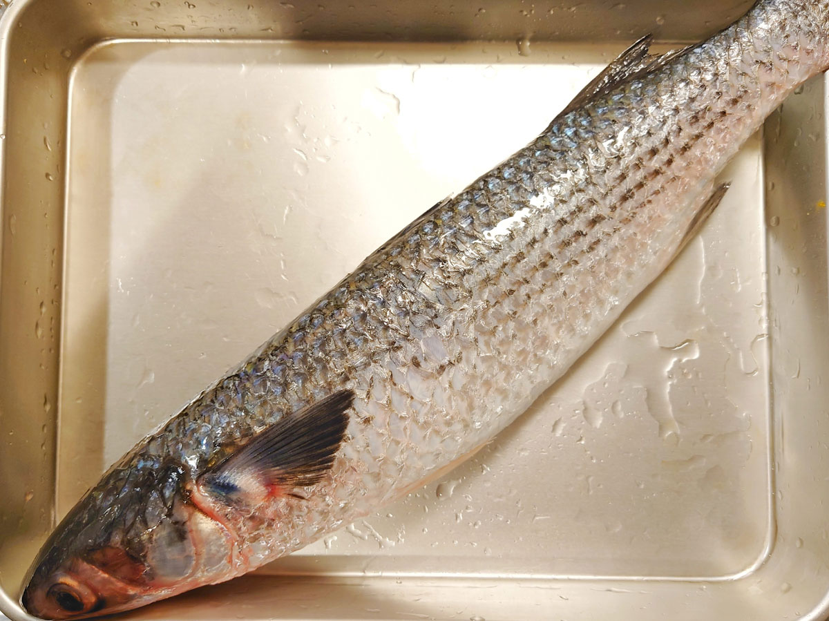 おうちご飯 ボラの刺身 塩焼き 潮汁 青木葉 Eatful Life おうちご飯 ボラの刺身 塩焼き 潮汁 青木葉 Eatful Life