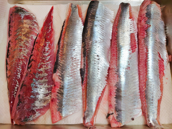 20210628sashimi005