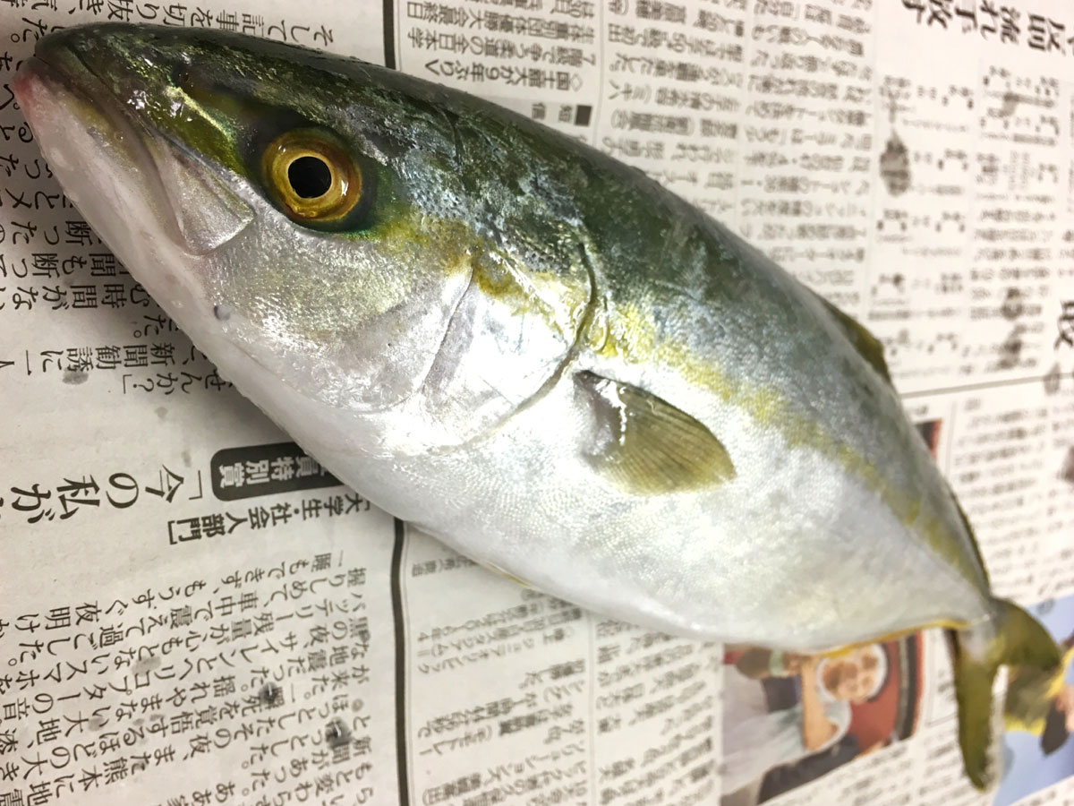 おうちご飯 フクラギの竜田揚げ ミニカマ焼き 青木葉 Eatful Life おうちご飯 フクラギの竜田揚げ ミニカマ焼き 青木葉 Eatful Life