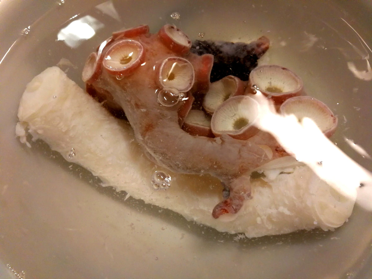 おうちご飯 ハッカクの唐揚げ ミズダコの刺身 青木葉 Eatful Life
