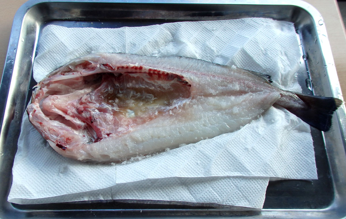 おうちご飯 コマイ オオマイ の開き一昼夜干し 青木葉 Eatful Life おうちご飯 コマイ オオマイ の開き一昼夜干し 青木葉 Eatful Life