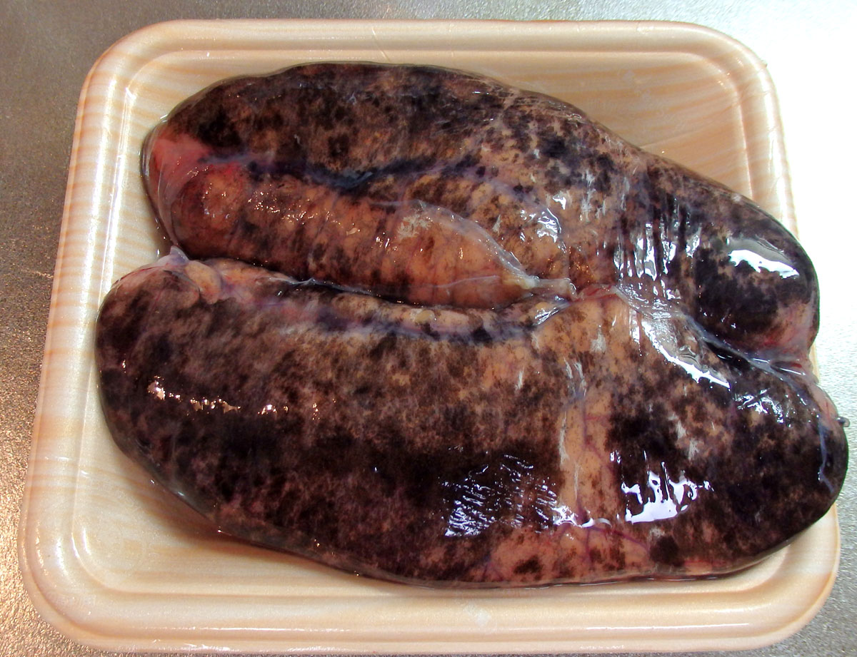 おうちご飯 つきこんタラコ 青木葉 Eatful Life おうちご飯 つきこんタラコ 青木葉 Eatful Life