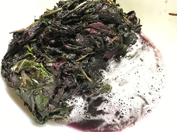 20160706umeboshi02