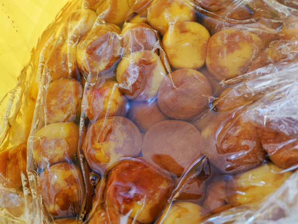 20220625umeboshi002