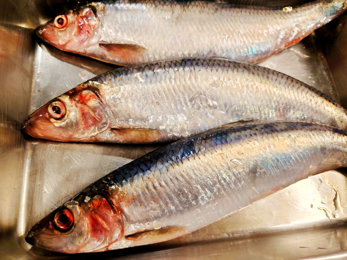 おうちご飯 ニシンの刺身 青木葉 Eatful Life おうちご飯 ニシンの刺身 青木葉 Eatful Life